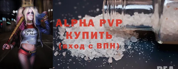гашик Алексин