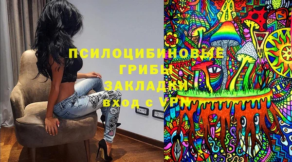 гашик Алексин