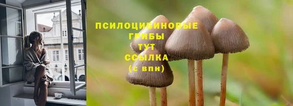 мдпв Нягань
