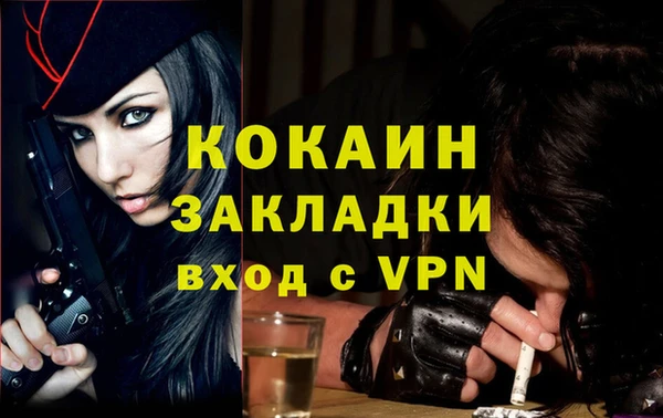 дживик Алзамай