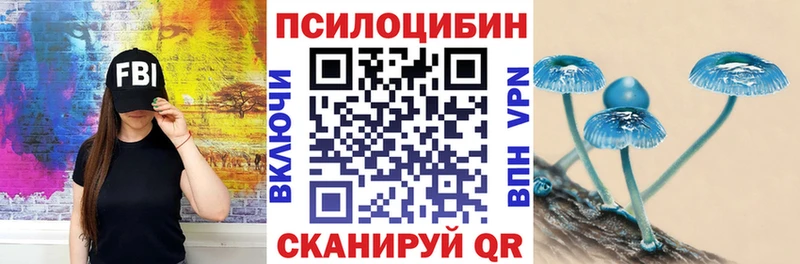 Псилоцибиновые грибы мицелий  что такое   Мыски 